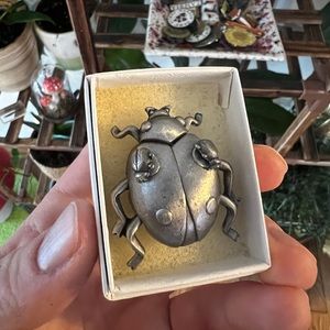 Vintage ladybug jewelry set - necklace, earrings, pin all in one!